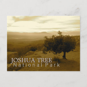 Joshua-Baum-Nationalpark Postkarte
