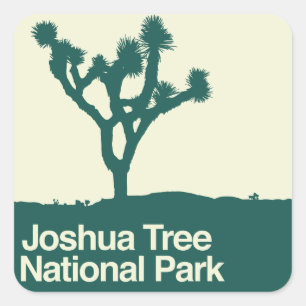 Joshua-Baum-Nationalpark Quadratischer Aufkleber