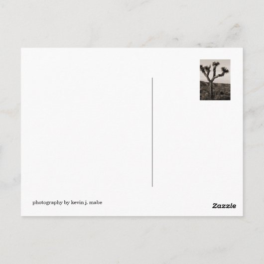 Joshua-Baum Postkarte (Rückseite)