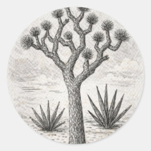 Joshua-Baum-Skizze Wüsten-Skizzenkunst Runder Aufkleber