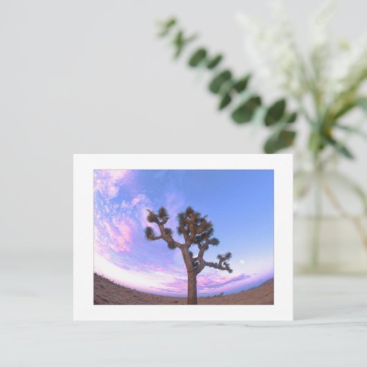 "Joshua-Baum-Strudel " Postkarte (Stehend Vorderseite)