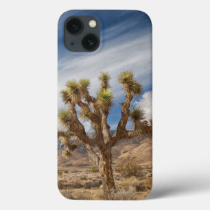 Joshua-Bäume in der Wüste Case-Mate iPhone Hülle