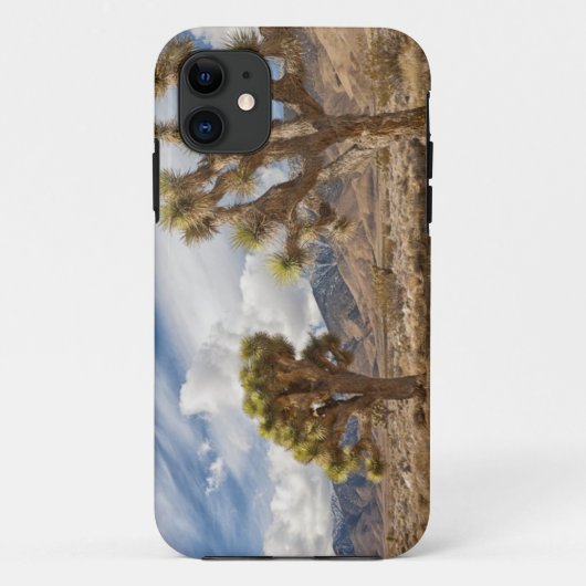 Joshua-Bäume in der Wüste Case-Mate iPhone Hülle (Rückseite)