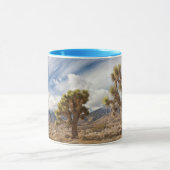 Joshua-Bäume in der Wüste Tasse (Zentrum)