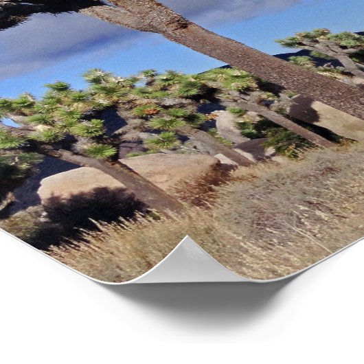 Joshua-Bäume Joshua-Tree-Nationalpark Poster (Ecke)