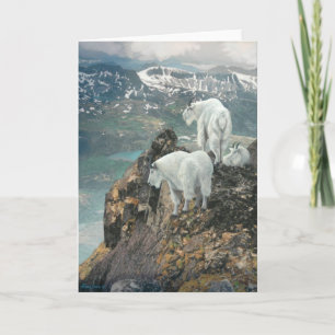 Joshua spioniert Anmerkungs-Karte aus Karte