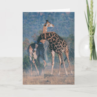 Joshua spioniert Anmerkungs-Karte aus Karte