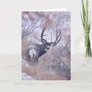 Joshua spioniert Anmerkungs-Karte aus Karte