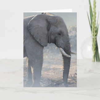 Joshua spioniert Anmerkungs-Karte aus Karte