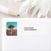 Joshua Tree (Insitu)