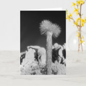 Joshua Tree #1 Karte (Gelbe Blume)