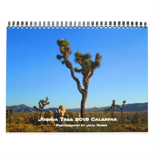 Joshua Tree 2018 von Julia Hanna Kalender (Titelbild)