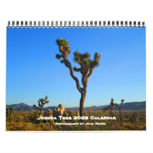 Joshua Tree 2022 von Julia Hanna Calendar Kalender