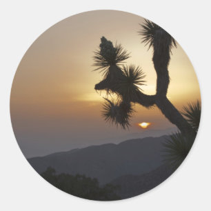 Joshua Tree bei Sonnenuntergang Runder Aufkleber