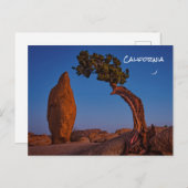 Joshua Tree California Postcard Postkarte (Vorne/Hinten)