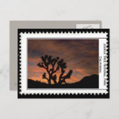 Joshua Tree California Postkarte (Vorne/Hinten)