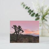Joshua Tree California Sunset Postkarte (Stehend Vorderseite)