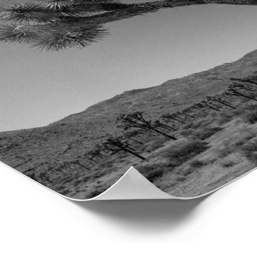 Joshua Tree Desert Landschaft - Nationalpark Foto Poster (Ecke)