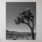 Joshua Tree Desert Landschaft - Nationalpark Foto Poster (Vorne)