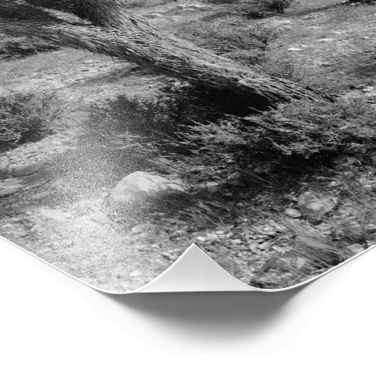 Joshua Tree Forest, Utah Fotodruck (Ecke)