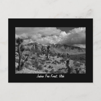 Joshua Tree Forest, Utah Postkarte