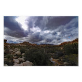 Joshua Tree Fotodruck (Vorne)