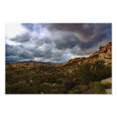 Joshua Tree Fotodruck (Vorne)
