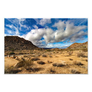 Joshua Tree Fotodruck