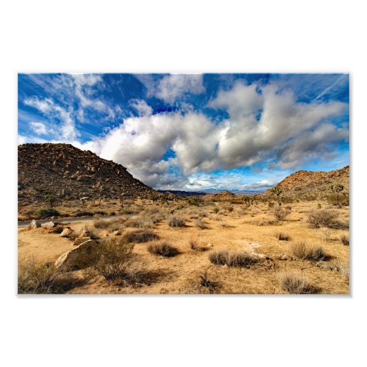 Joshua Tree Fotodruck (Vorne)