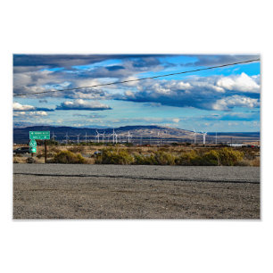 Joshua Tree Fotodruck