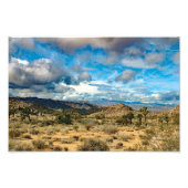 Joshua Tree Fotodruck (Vorne)