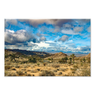 Joshua Tree Fotodruck