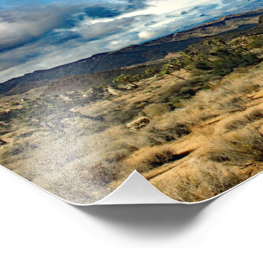 Joshua Tree Fotodruck (Ecke)
