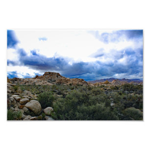 Joshua Tree Fotodruck