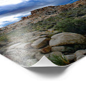 Joshua Tree Fotodruck (Ecke)