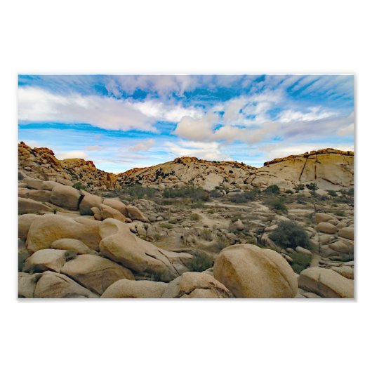 Joshua Tree Fotodruck (Vorne)