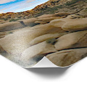 Joshua Tree Fotodruck (Ecke)