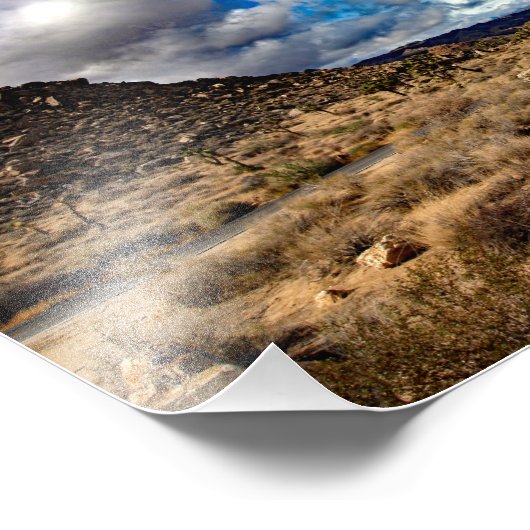 Joshua Tree Fotodruck (Ecke)
