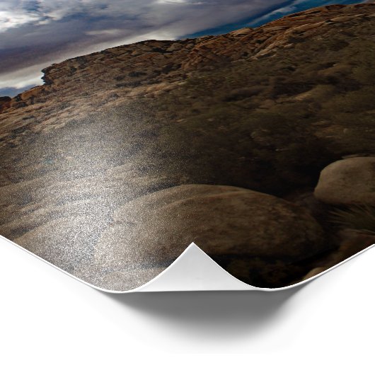 Joshua Tree Fotodruck (Ecke)
