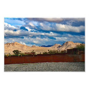 Joshua Tree Fotodruck