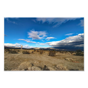 Joshua Tree Fotodruck