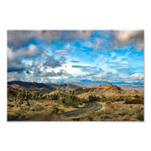 Joshua Tree Fotodruck