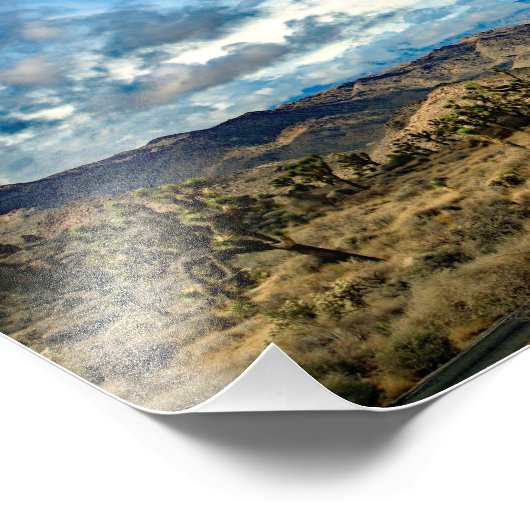 Joshua Tree Fotodruck (Ecke)