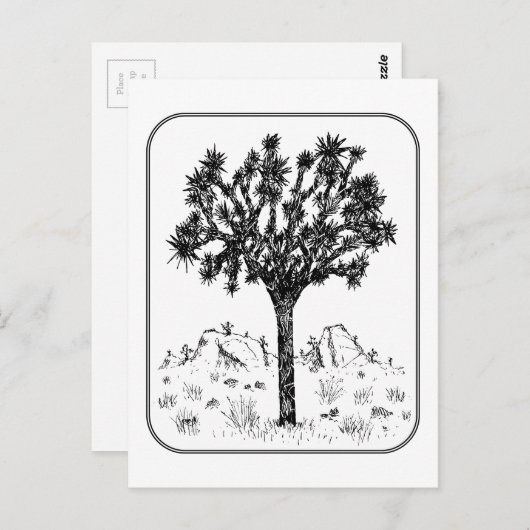 Joshua Tree (Grenze) Postkarte (Vorne/Hinten)