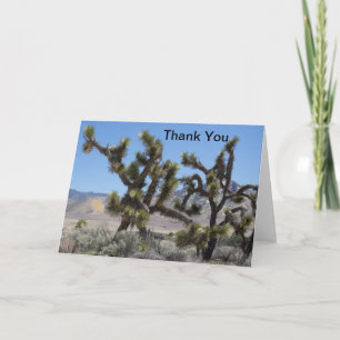 Joshua Tree in California