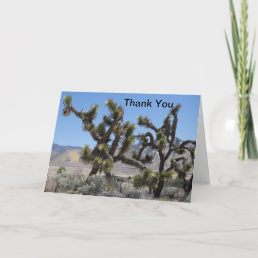 Joshua Tree in California (Vorderseite)