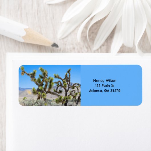 Joshua Tree in Kalifornien (Insitu)