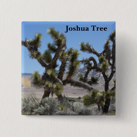Joshua Tree in Kalifornien Button (Vorderseite)