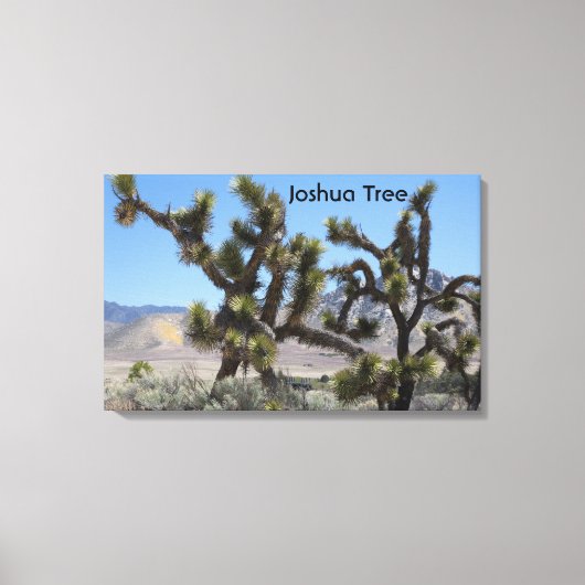 Joshua Tree in Kalifornien Leinwanddruck (Vorderseite)