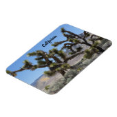 Joshua Tree in Kalifornien Magnet (Linke Seite)